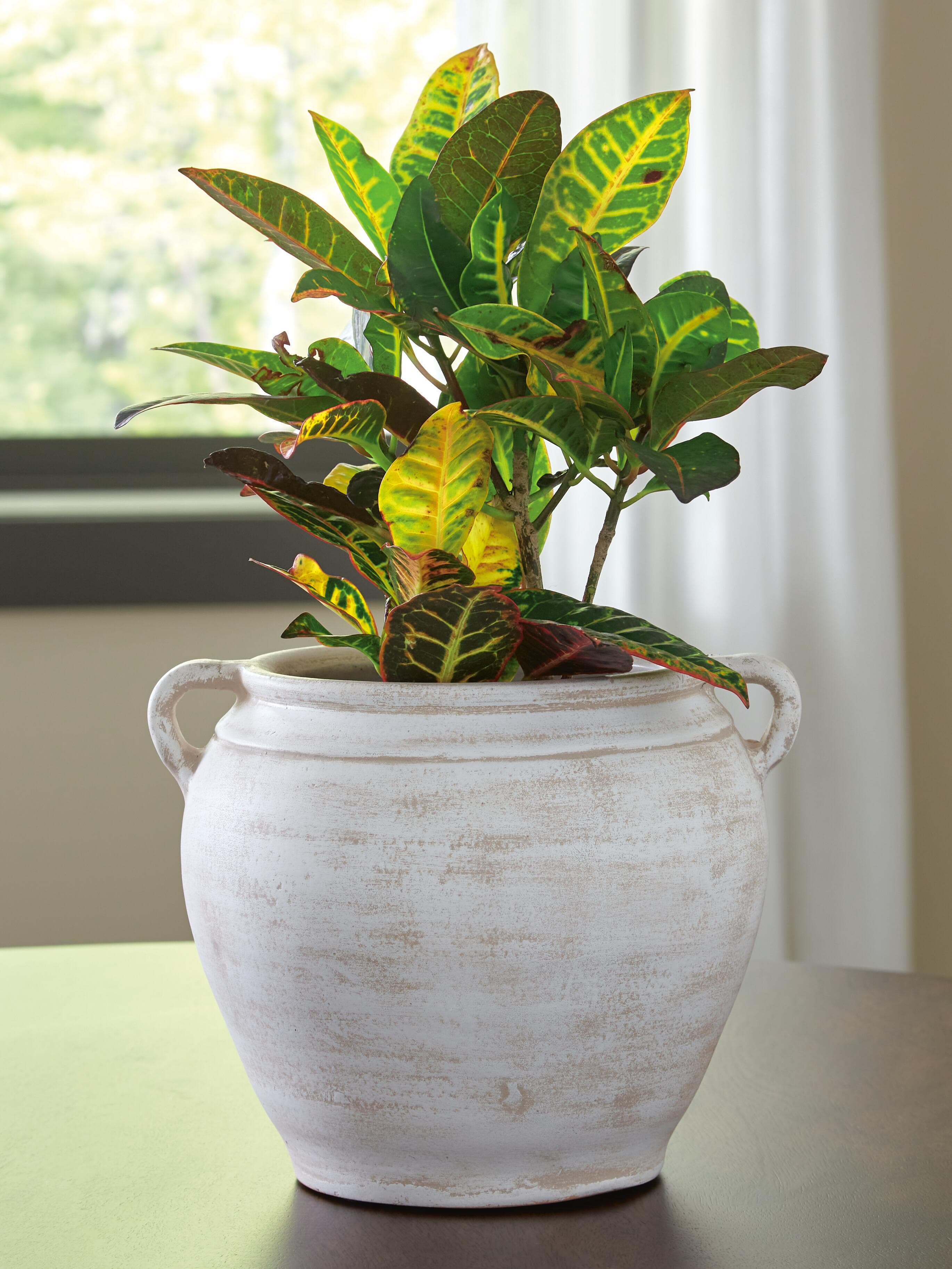 Meadie Vase — White & Brown/Beige — view 2