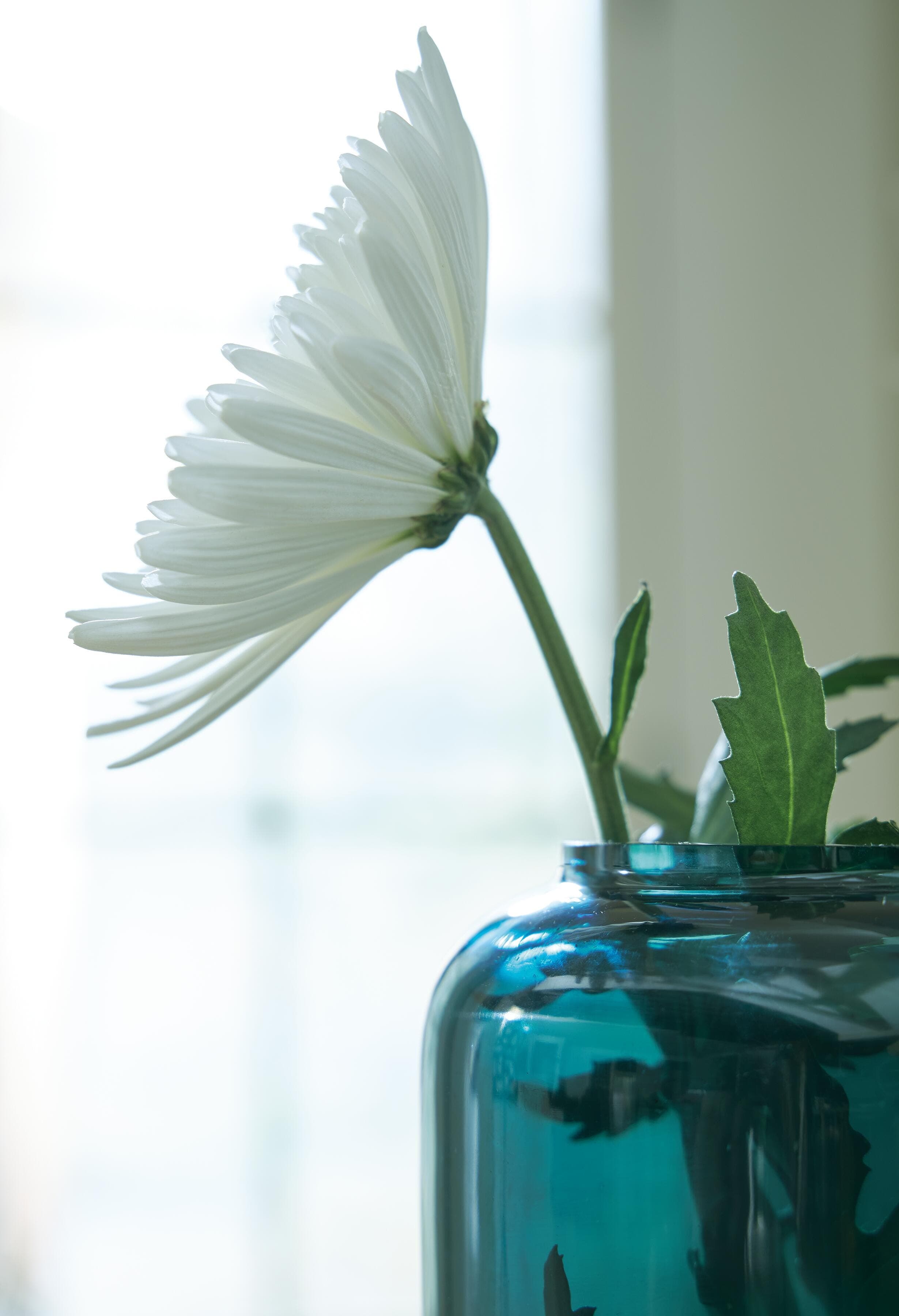 Inisland Vase — Teal — view 3