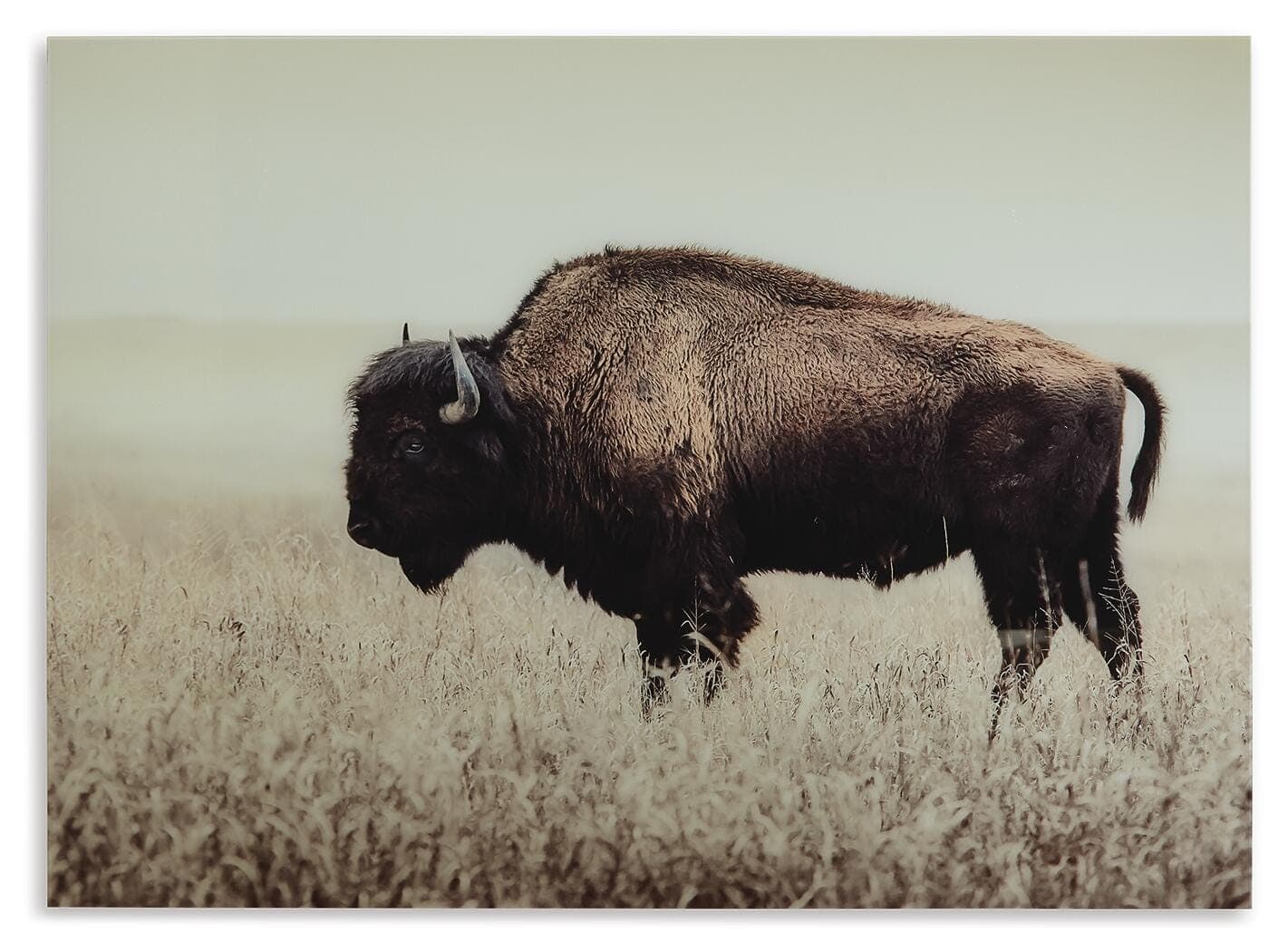 Brutus Wall Art — Black/Gray & Brown/Beige — view 3