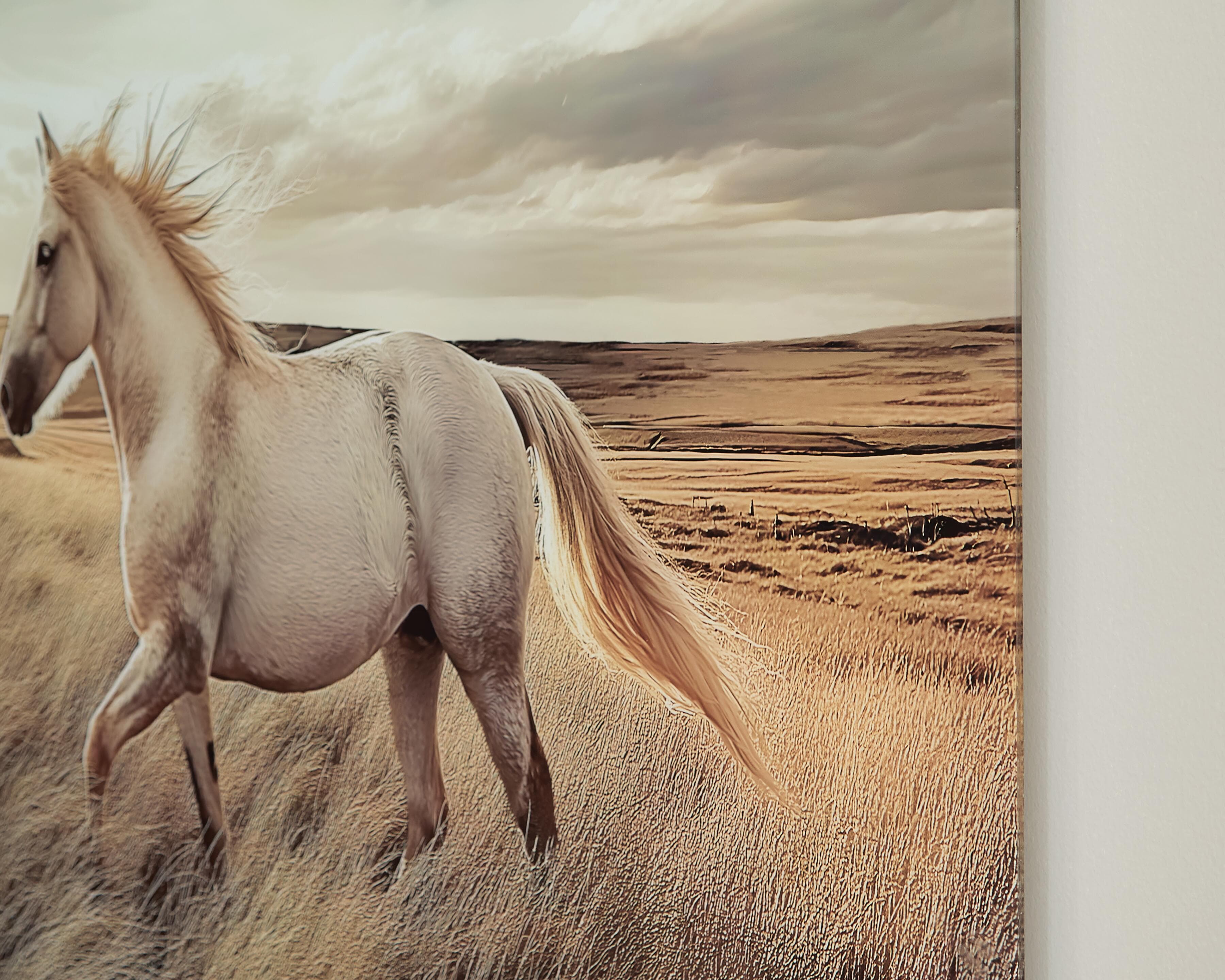 Errolville Wall Art — Multi — view 5